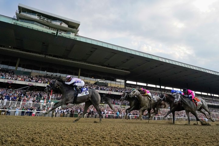 Two horses die at Belmont Park, concluding a fatal Triple Crown season – National | Globalnews.ca