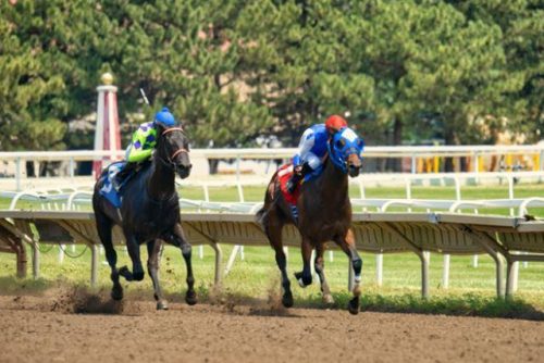 Breeders’ Cup Juvenile Vooraanstaande Kandidaten om in de gaten te houden