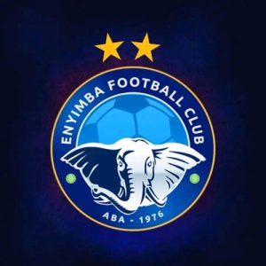 NPFL legt Enyimba een boete van N2m op voor wangedrag en schorst functionaris