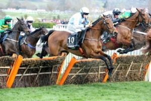 Analyse van de trends om een selectie te maken voor de Supreme Novices' Hurdle