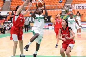 D'Tigress ingedeeld tegen Canada, Australië en Frankrijk in de Olympische Spelen van Parijs 2024