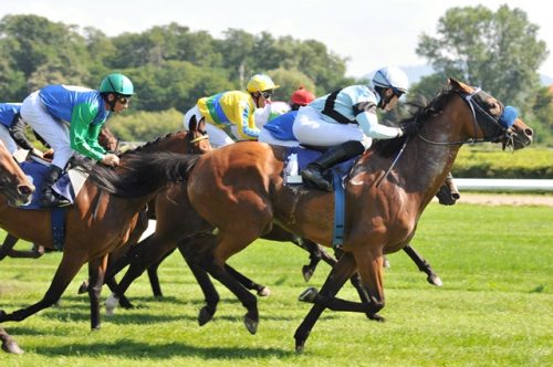 Het spotten van waardevolle weddenschappen: Hoe je groot kunt winnen bij paardenraces