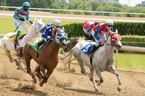 Nieuwste Innovaties in Gastvrijheid bij het Cheltenham Festival