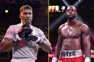 Hearn: Wilder geen bedreiging meer voor Joshua