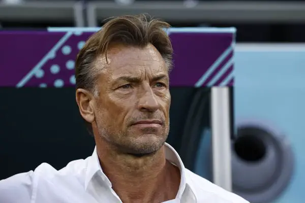 Renard bevestigt afwijzing van coachingbaan bij Super Eagles